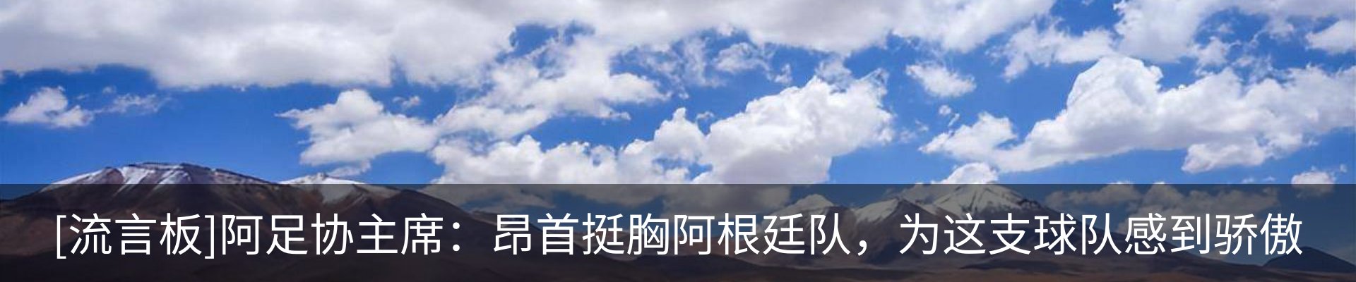 新闻动态